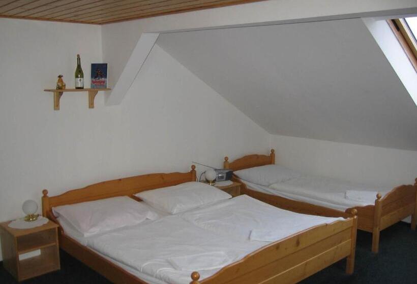 Номер Deluxe, Wellness Pension Iveta