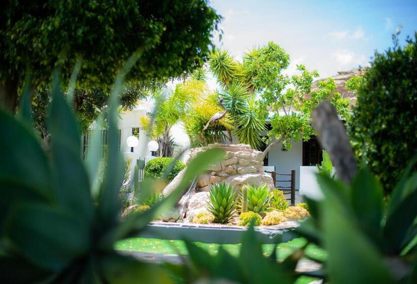 חדר סטנדרט עם מיטת קינג, Kleinplasie Guesthouse