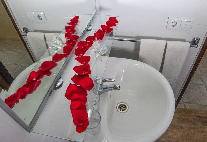 חדר סופריור, Aeropuerto Sur