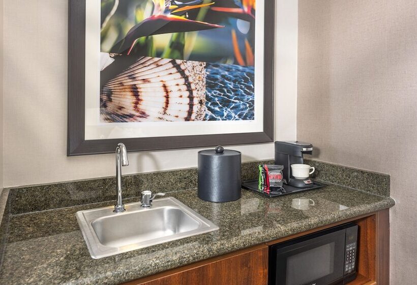 غرفة ديلوكس سرير كينج, Ayres Hotel Laguna Woods   Aliso Viejo