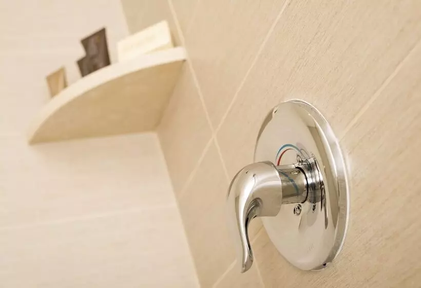 اتاق استاندارد با تخت بزرگ برای معلولان, Ayres Hotel Laguna Woods   Aliso Viejo