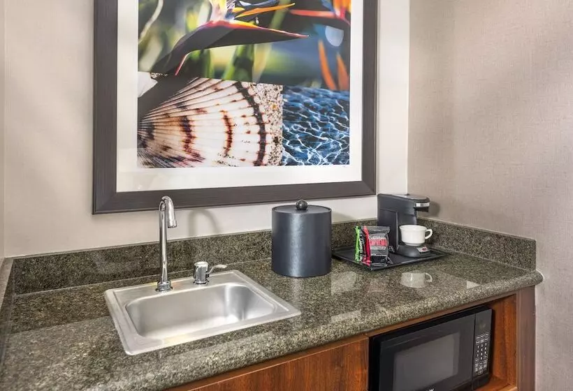 اتاق استاندارد با تخت بزرگ برای معلولان, Ayres Hotel Laguna Woods   Aliso Viejo