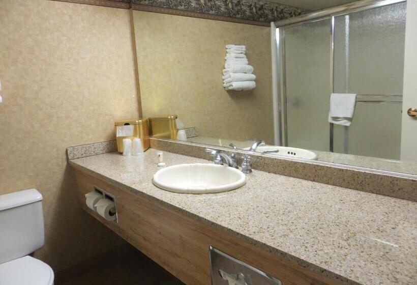 带大床的豪华间, Buffalo Bills Resort & Casino