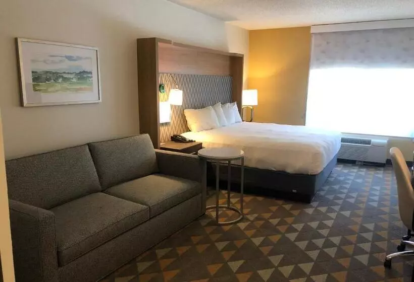 キングサイズベッドのスタンダードルーム, Holiday Inn Cleveland, An Ihg
