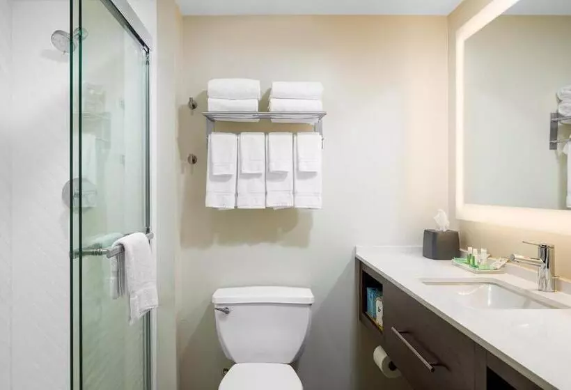 キングサイズベッドのスタンダードルーム, Holiday Inn Cleveland, An Ihg