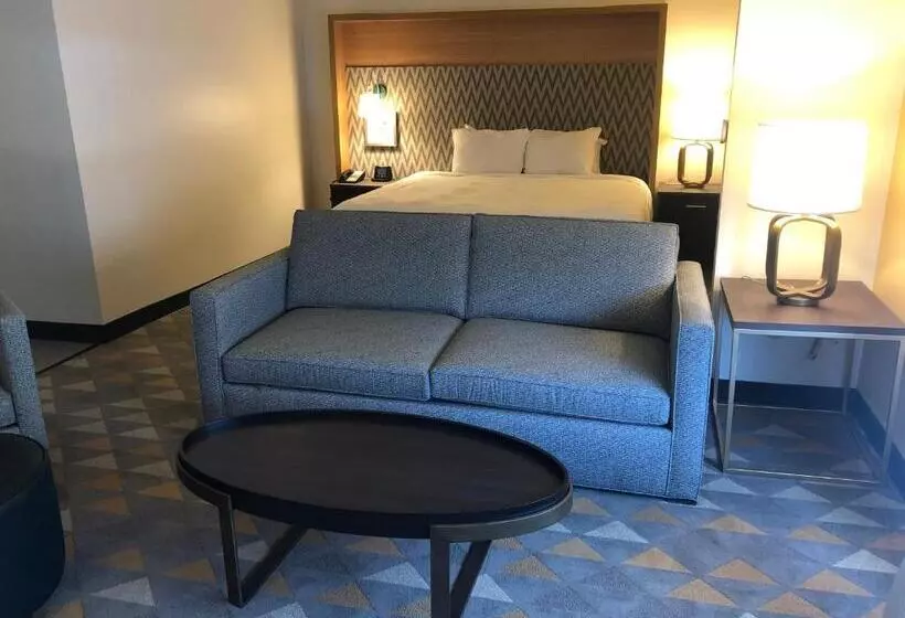 キングサイズベッドのスイートルーム, Holiday Inn Cleveland, An Ihg