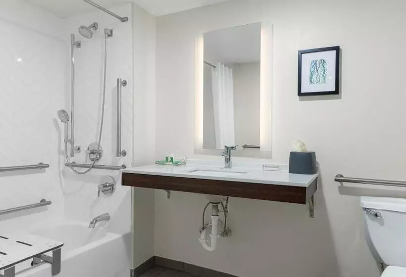 身障者適用キングサイズベッドルーム, Holiday Inn Cleveland, An Ihg