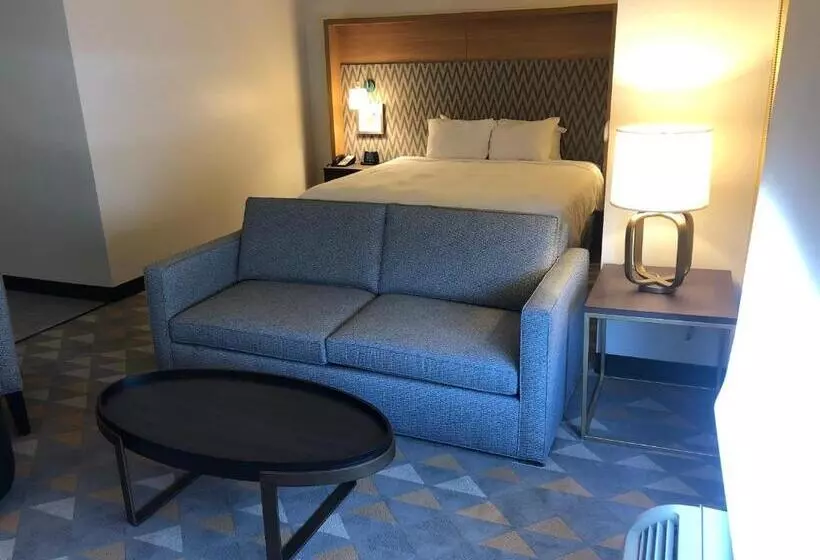 身障者適用スイートルーム, Holiday Inn Cleveland, An Ihg