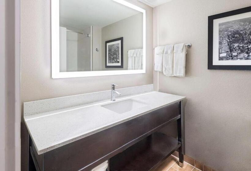 디럭스 룸, La Quinta By Wyndham Kennesaw