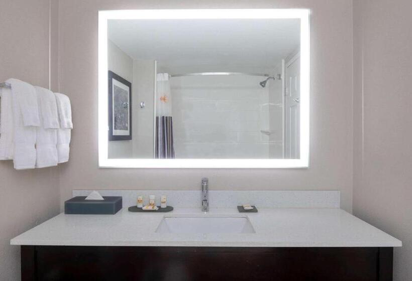 디럭스 룸, La Quinta By Wyndham Kennesaw