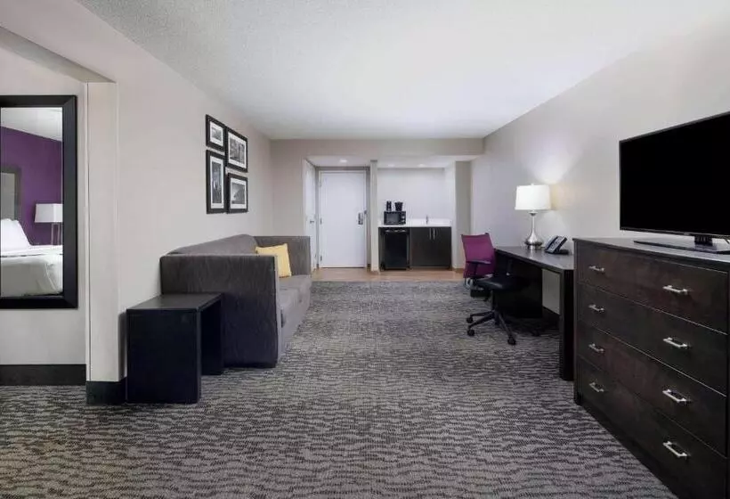 キングサイズベッドのデラックススイート, La Quinta By Wyndham Kennesaw