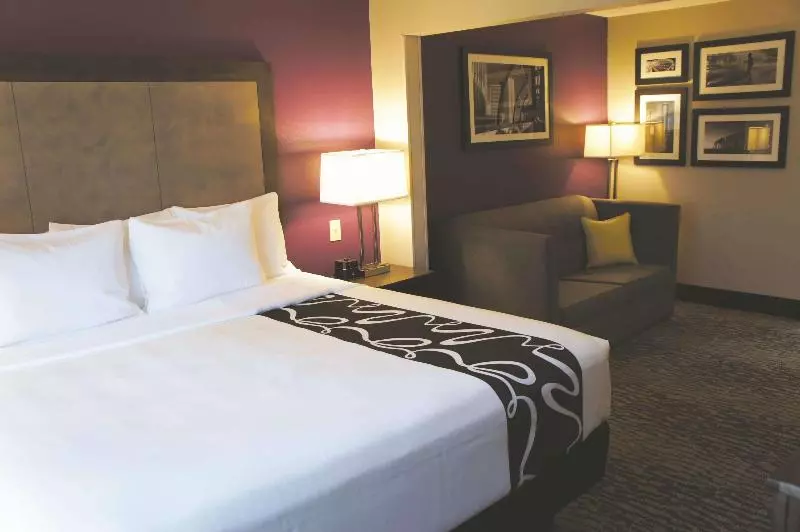 キングサイズベッドのエクゼクティブルーム, La Quinta By Wyndham Kennesaw