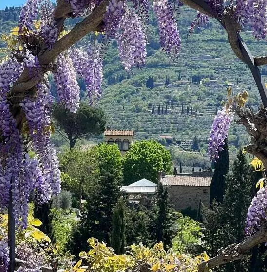 سوئیت با بالکن, Il Falconiere Relais & Spa