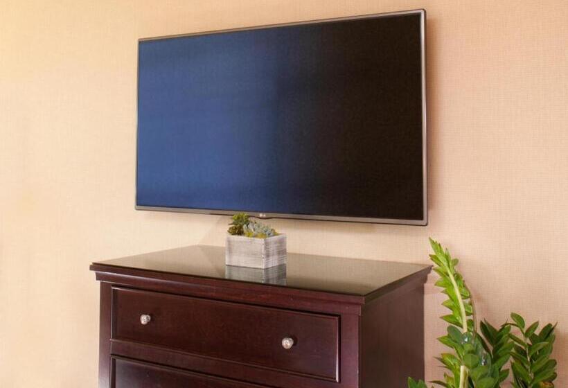 스탠다드 룸, Silver Cloud Hotel   Seattle Broadway