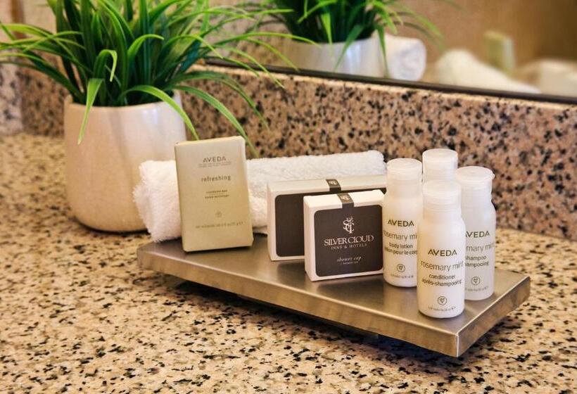 Номер Стандарт, Silver Cloud Hotel   Seattle Broadway