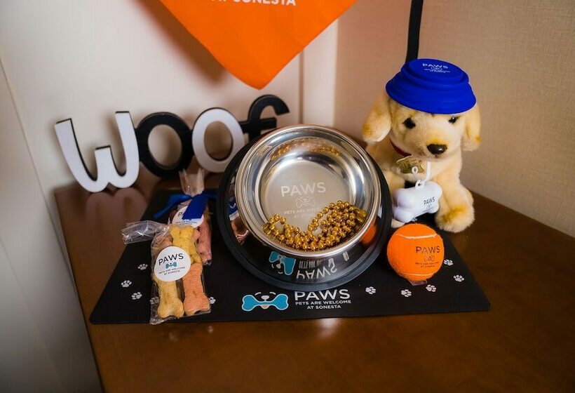 جناح لذوى الاحتياجات الخاصة, Sonesta Simply Suites Plano Frisco