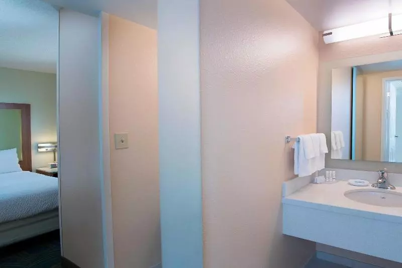 キングサイズベッドのスイートルーム, Springhill Suites By Marriott Atlanta Alpharetta