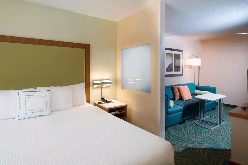 キングサイズベッドのスイートルーム, Springhill Suites By Marriott Atlanta Alpharetta