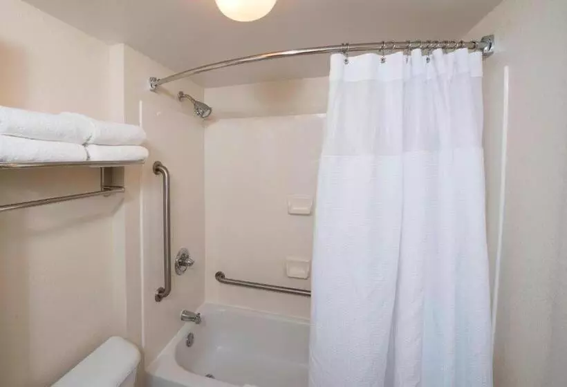 スイート, Springhill Suites By Marriott Atlanta Alpharetta