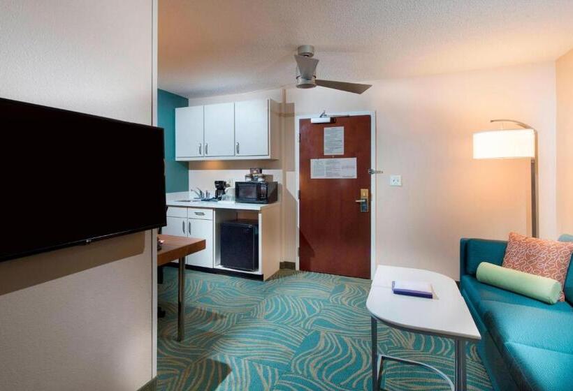 جناح, Springhill Suites By Marriott Atlanta Alpharetta