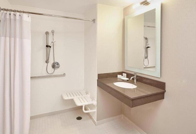 Люкс Кровать Кинг, Springhill Suites By Marriott Chicago Schaumburg/woodfield Mall