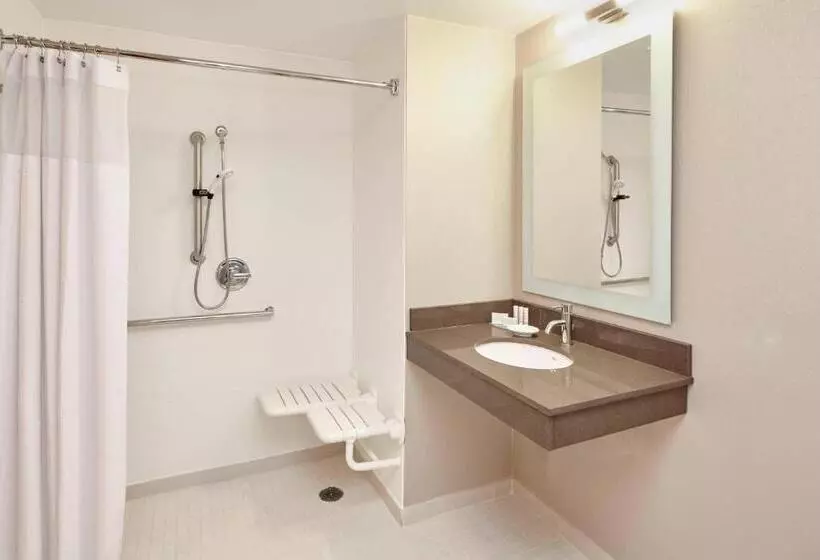 سوئیت با تخت بزرگ, Springhill Suites By Marriott Chicago Schaumburg/woodfield Mall