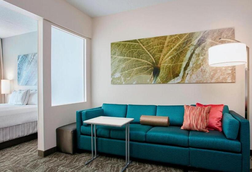 Suite King Size Bed, Springhill Suites By Marriott Chicago Schaumburg/woodfield Mall