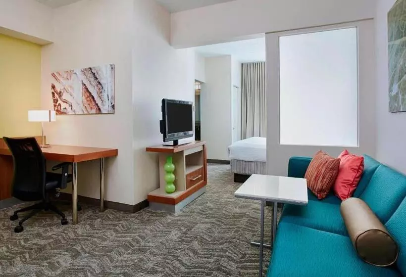 سوئیت با تخت بزرگ, Springhill Suites By Marriott Chicago Schaumburg/woodfield Mall