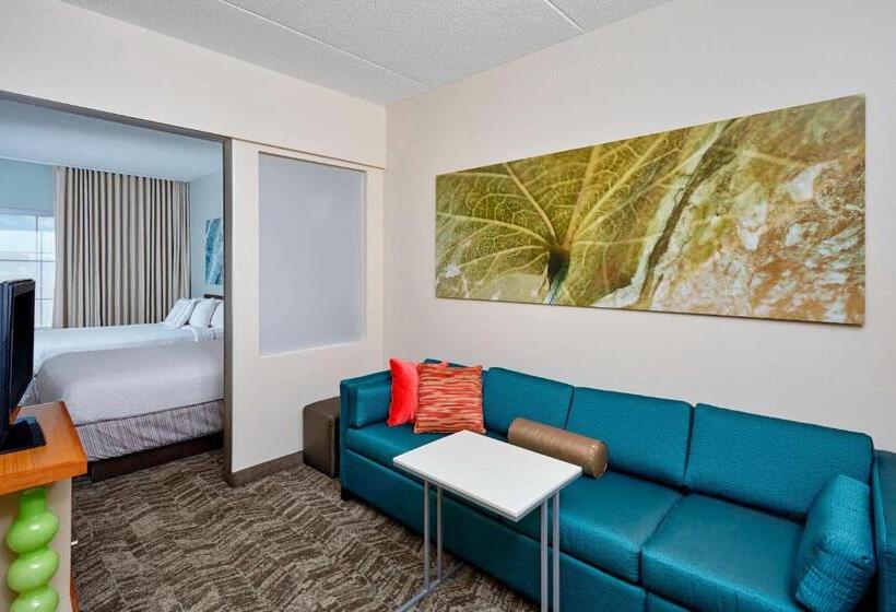 Люкс, Springhill Suites By Marriott Chicago Schaumburg/woodfield Mall