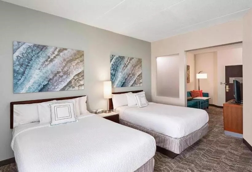 سوییت, Springhill Suites By Marriott Chicago Schaumburg/woodfield Mall