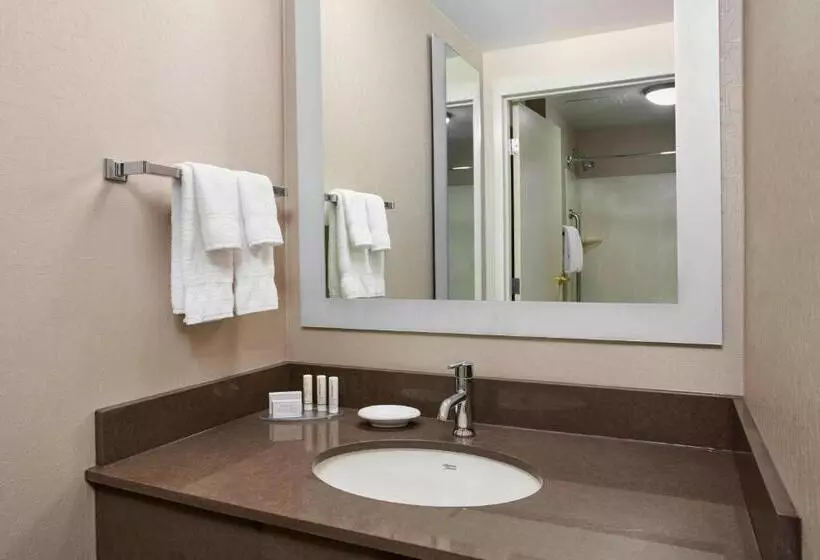 سوئیت برای معلولان, Springhill Suites By Marriott Chicago Schaumburg/woodfield Mall