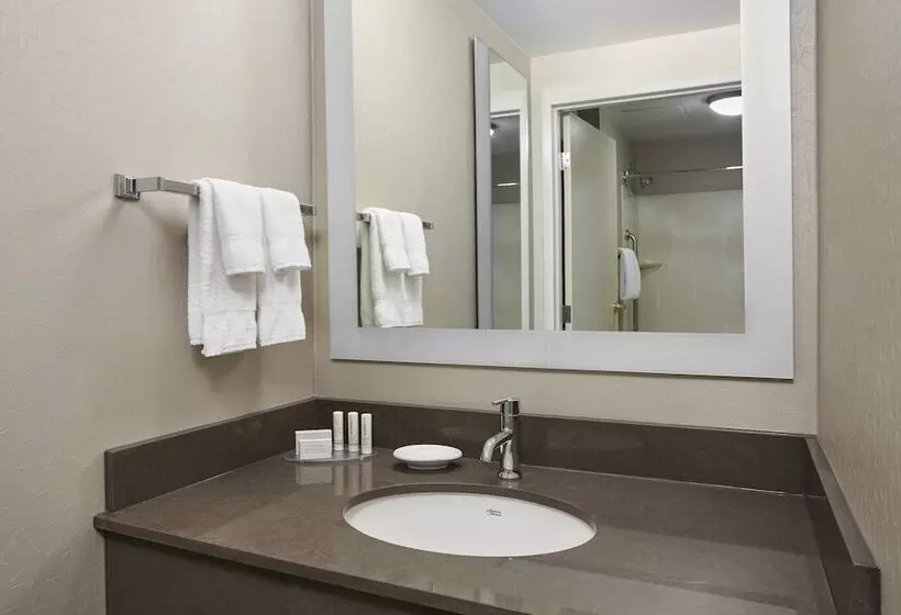 سوییت, Springhill Suites By Marriott Chicago Schaumburg/woodfield Mall