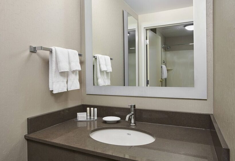 Mozgáskorlátozott Suite, Springhill Suites By Marriott Chicago Schaumburg/woodfield Mall