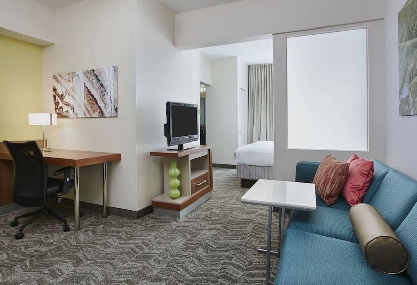 Люкс Адаптированный для Инвалидов, Springhill Suites By Marriott Chicago Schaumburg/woodfield Mall