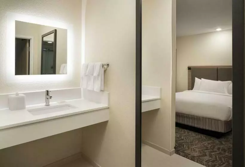 سوئیت برای معلولان, Springhill Suites Fort Worth University
