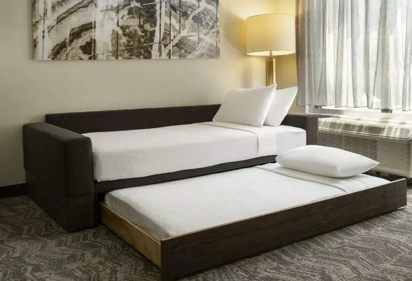 سوئیت برای معلولان, Springhill Suites Fort Worth University