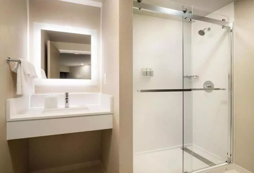 سوئیت اجرایی با تخت کینگ, Springhill Suites Fort Worth University