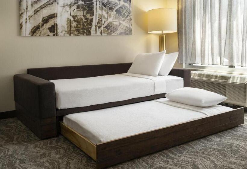 Suíte Executiva Cama king, Springhill Suites Fort Worth University