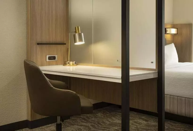 سوئیت اجرایی با تخت کینگ, Springhill Suites Fort Worth University