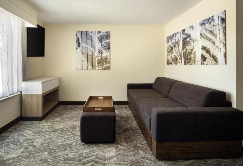 带双人大床的行政管理套房, Springhill Suites Fort Worth University