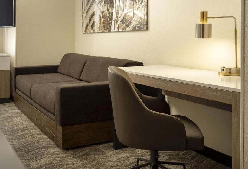 带双人大床的行政管理套房, Springhill Suites Fort Worth University