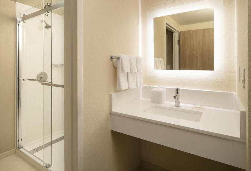 带大床的套房, Springhill Suites Fort Worth University