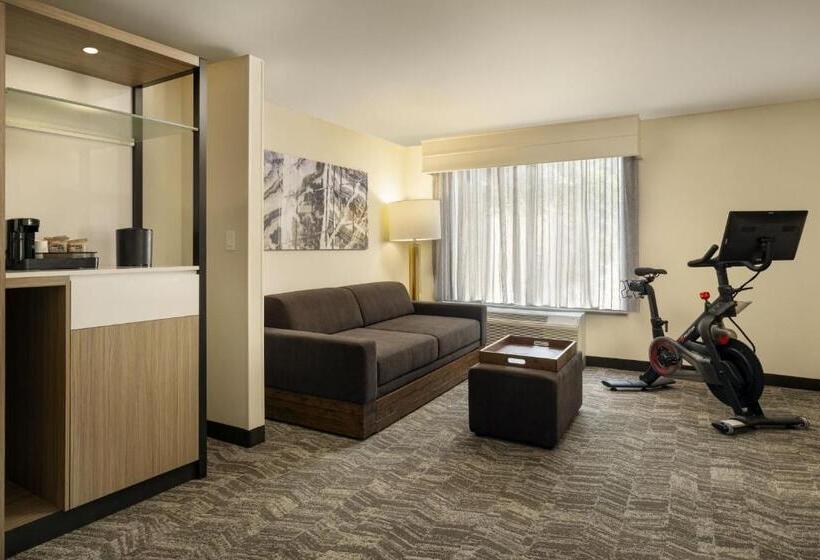 Suíte Cama King, Springhill Suites Fort Worth University