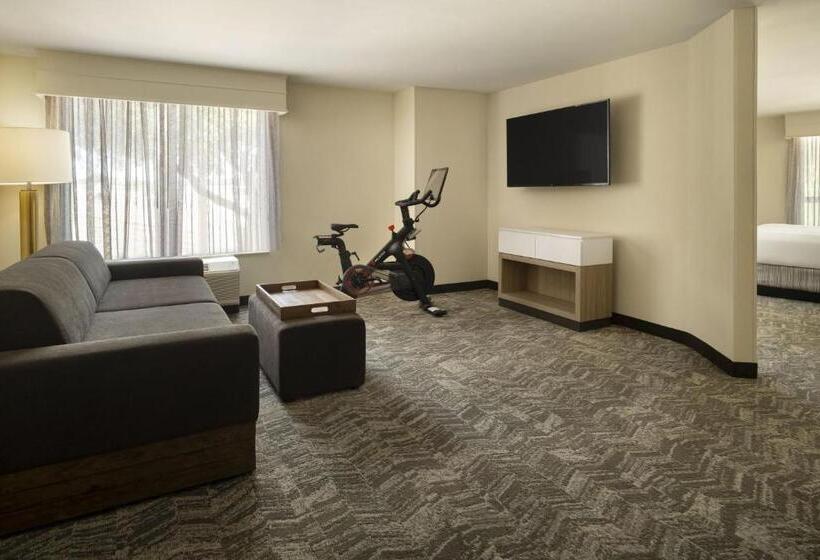 带大床的套房, Springhill Suites Fort Worth University
