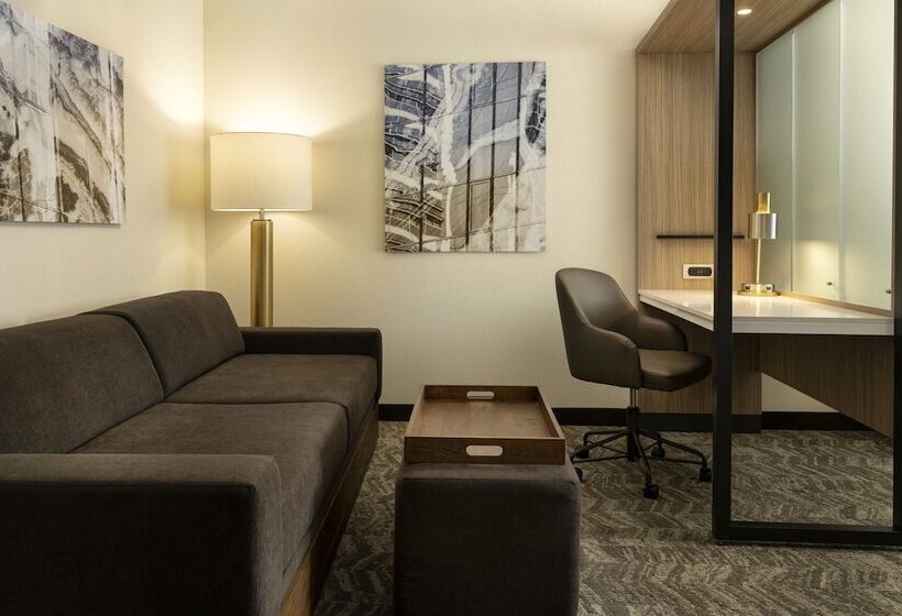 Suíte para Deficientes Físicos, Springhill Suites Fort Worth University
