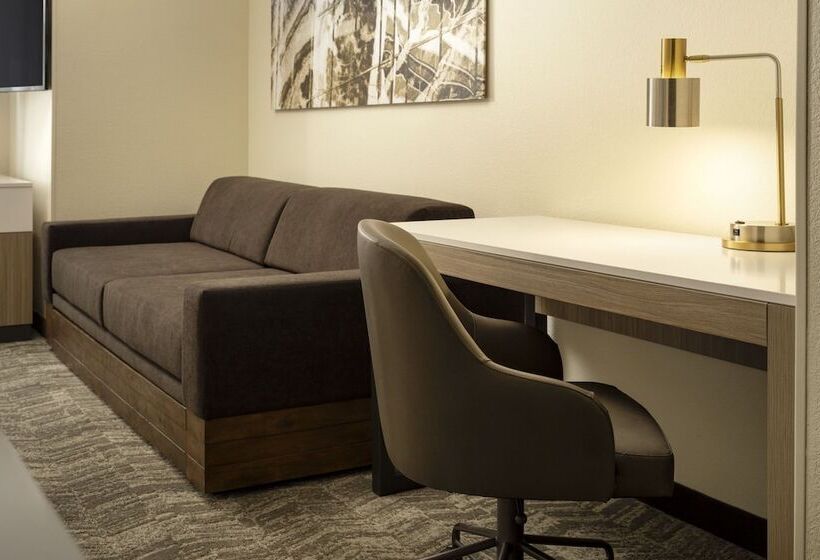 适合残疾人士使用的套间, Springhill Suites Fort Worth University