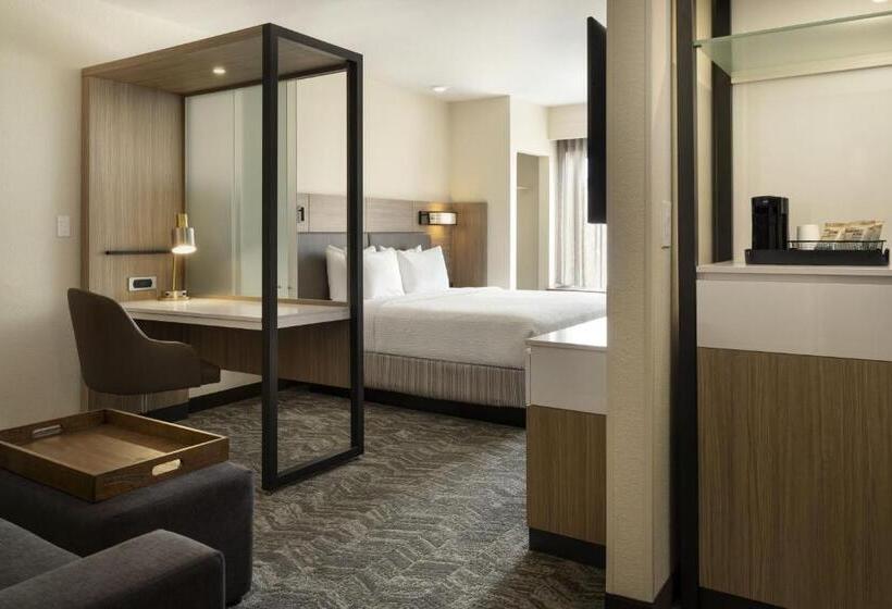 Suíte Cama King, Springhill Suites Fort Worth University