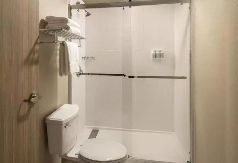 Suite Queen Bed, Springhill Suites Fort Worth University