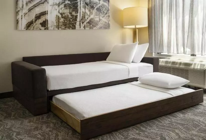 Suite Queen Bed, Springhill Suites Fort Worth University