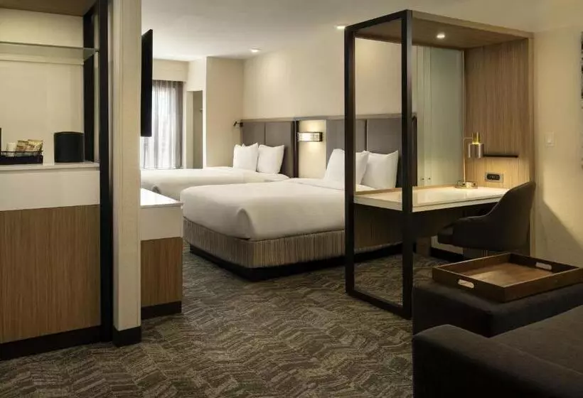 Suite Queen Bed, Springhill Suites Fort Worth University